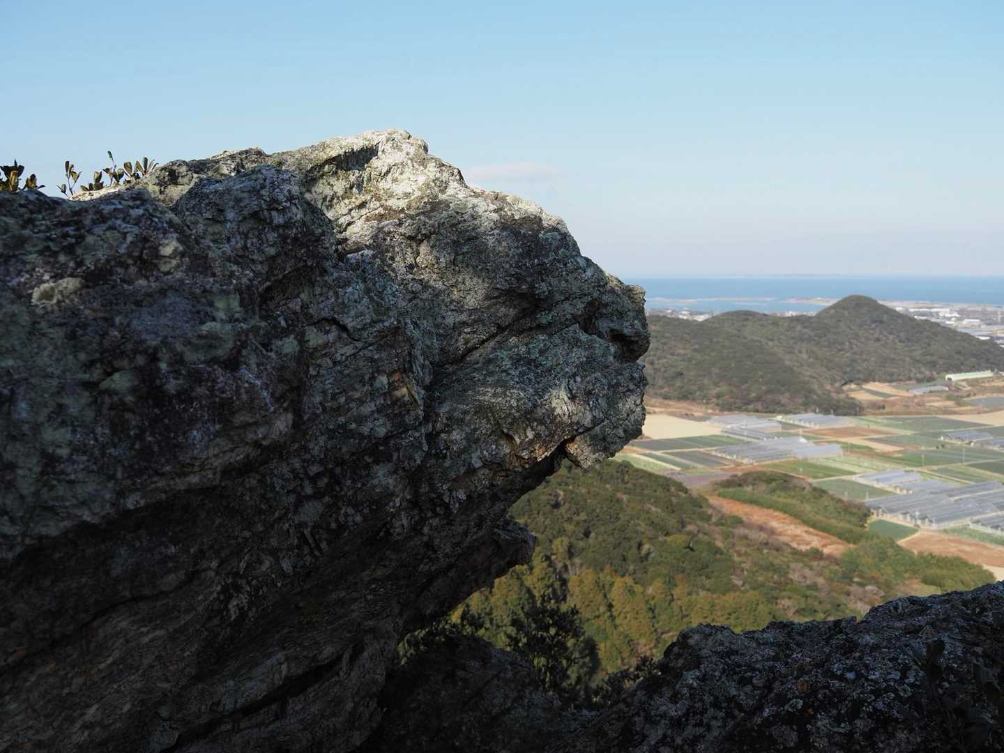 これ…
キングコング？
意地悪なビーバーにしか見えない笑
