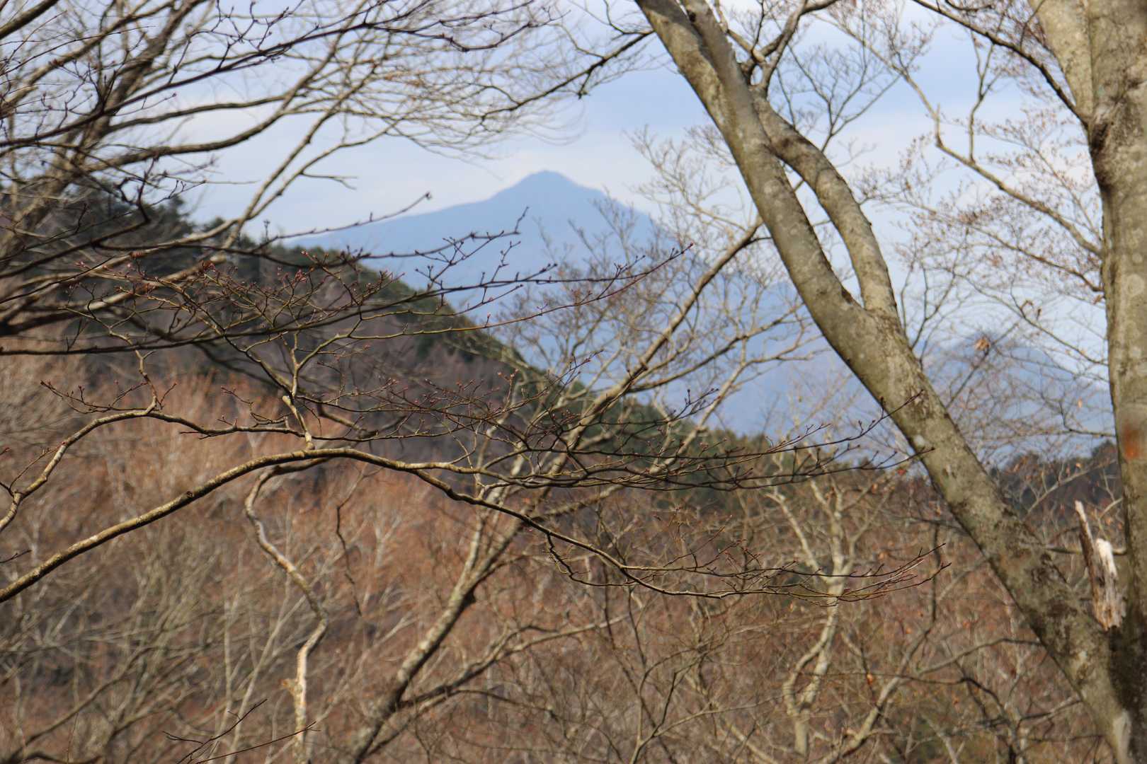 篠井山
29日が楽しみ