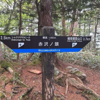 ここまでが遠かった💧