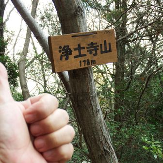 こーさんプレートを確認するのを忘れていたので再訪