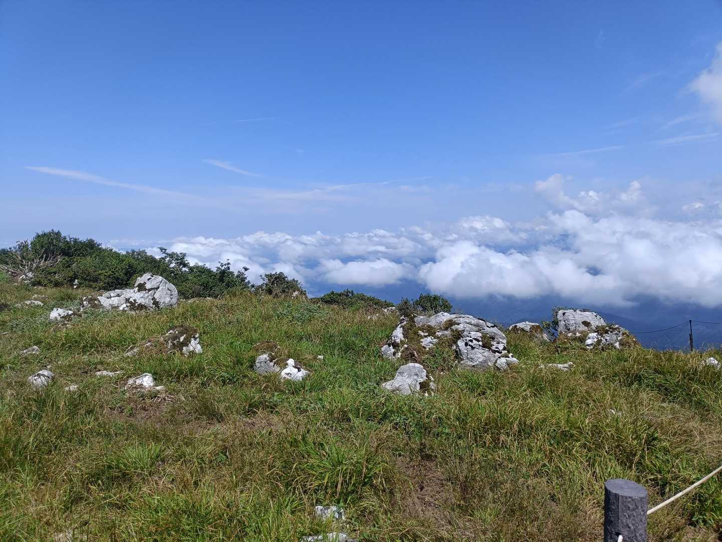 霊仙山や御池岳と同じくカレンフェルトが見られます