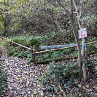 金子山出丸へ、右