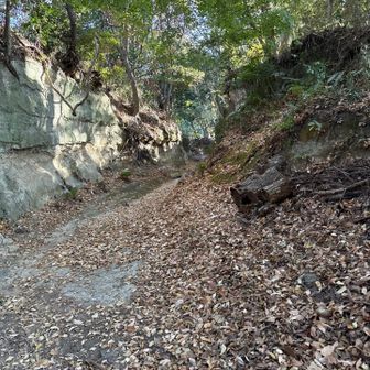 住宅地からいきなり山道へ