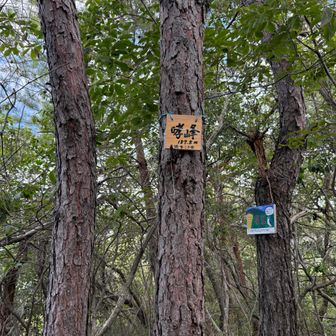 星田連山60達成！！
たけるがみね
読めん
すぐ忘れる
