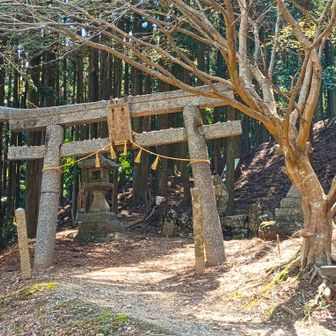 さて、ここからが本格的に登りです