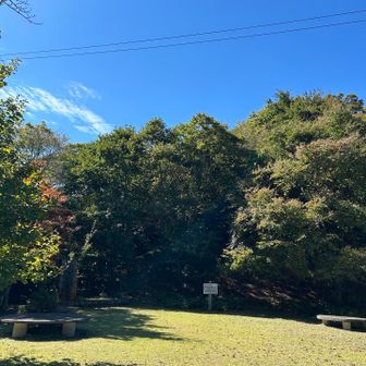 下りてきたー。
大たわ峠。ここからスタートの方も多い。