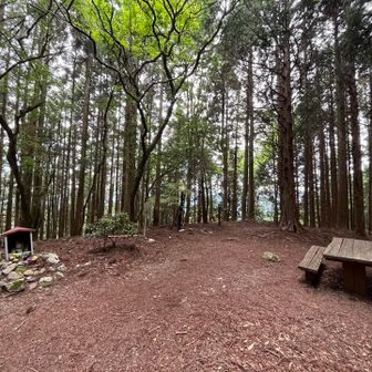 薬師岳の山頂はこんな感じ、眺望はなし
