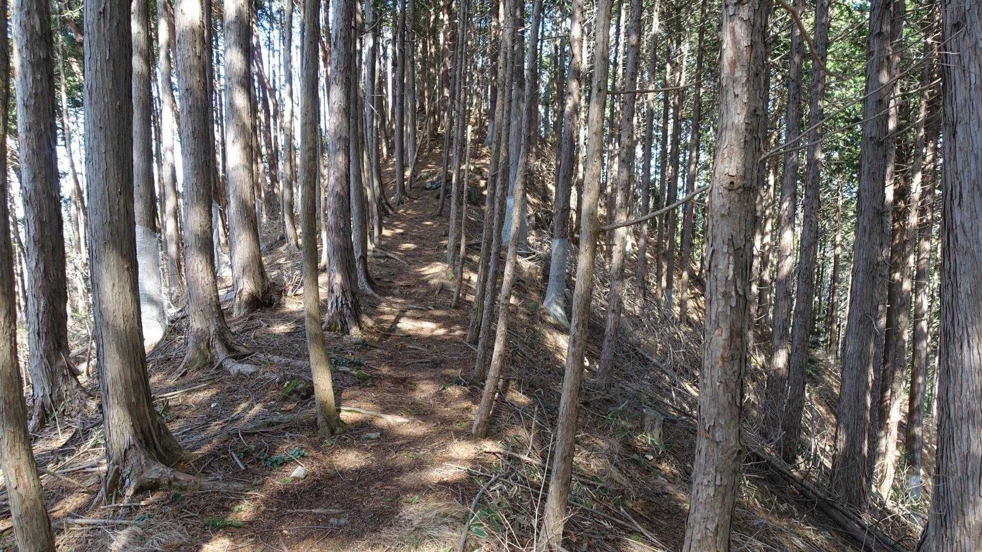 間もなく山頂。