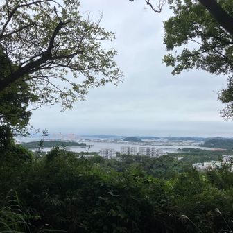 金沢山からの景色