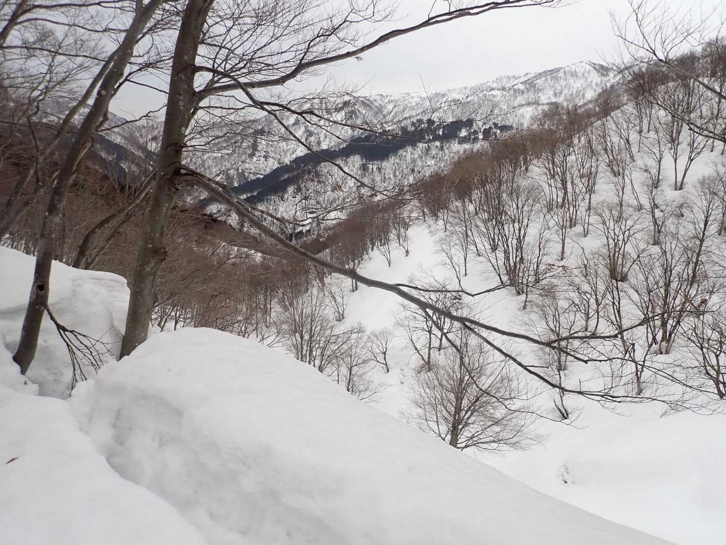 中部北陸自然歩道登山口-南保富士-二王山 往復コースの写真