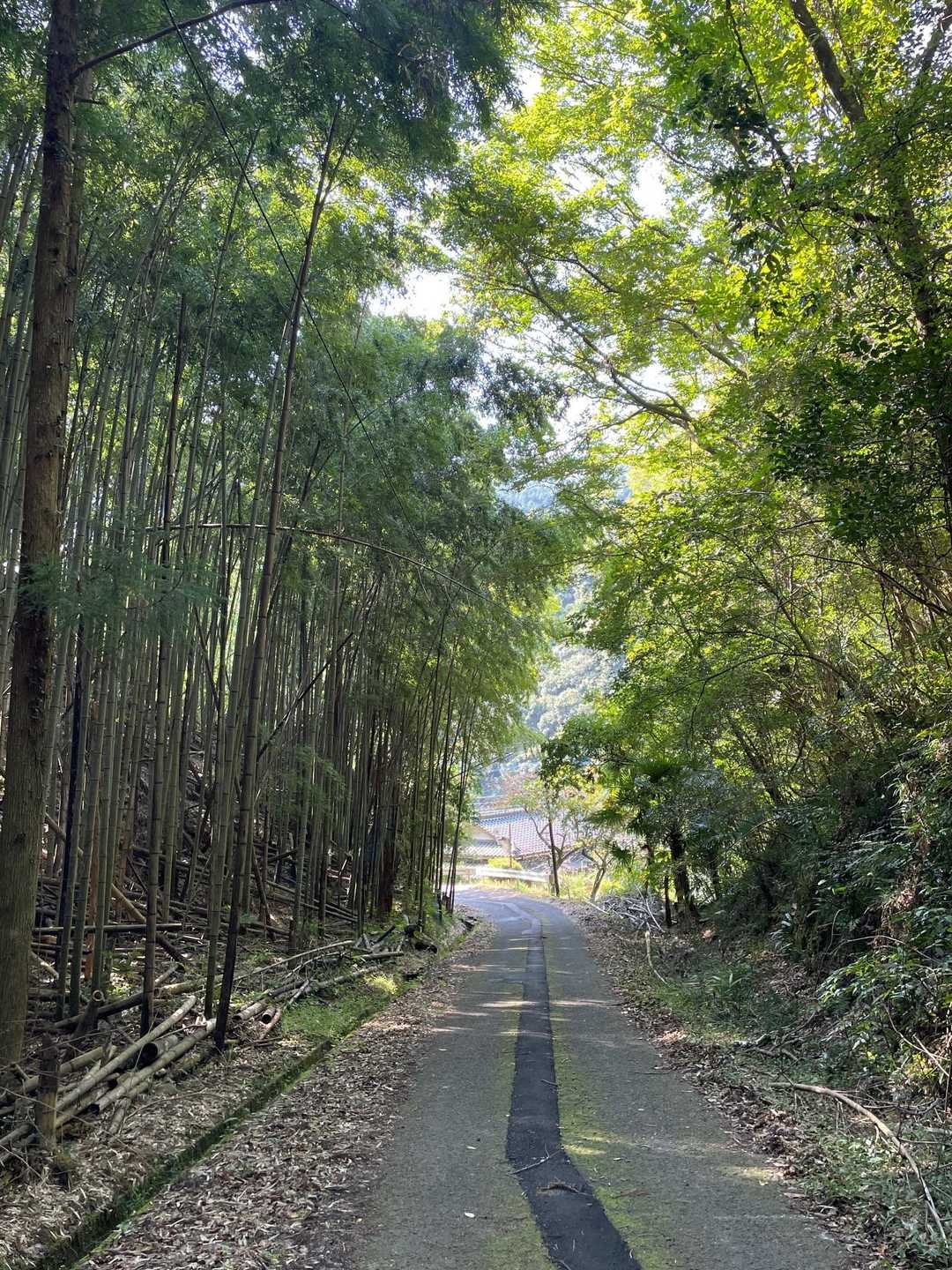 熊登山口に下山😆
ちょうどいいルートでした👍