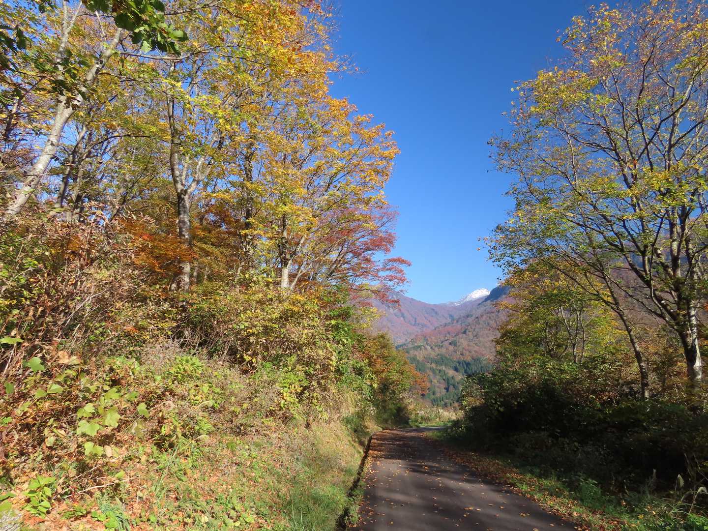 帰りは舗装道路を通って。