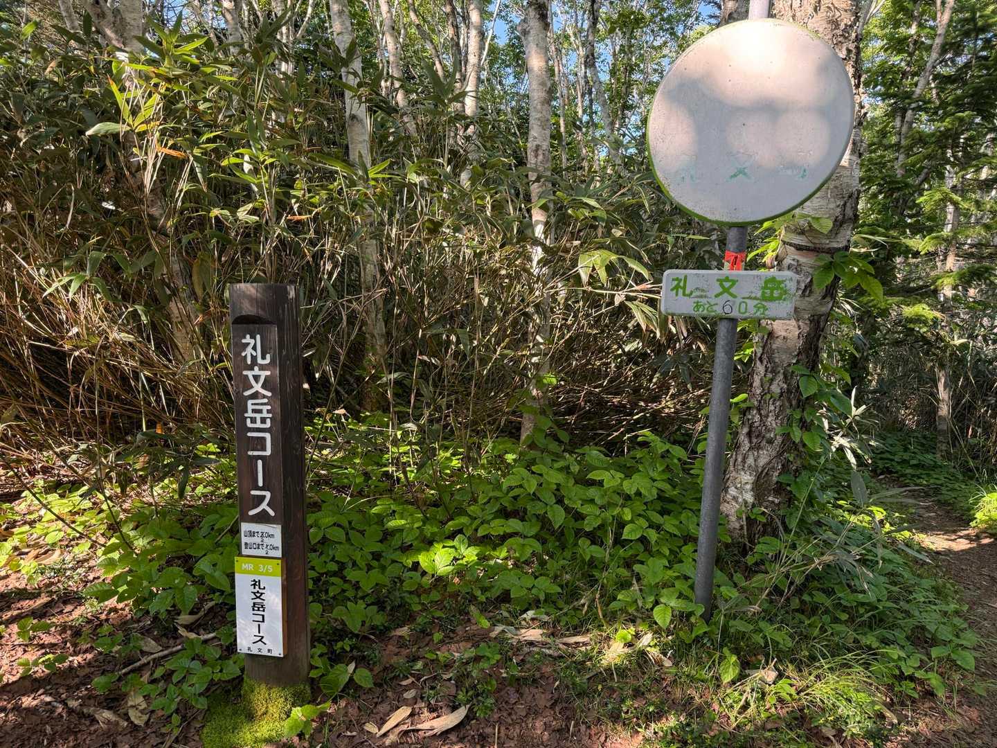次の標識では鏡の入っていないカーブミラーが。