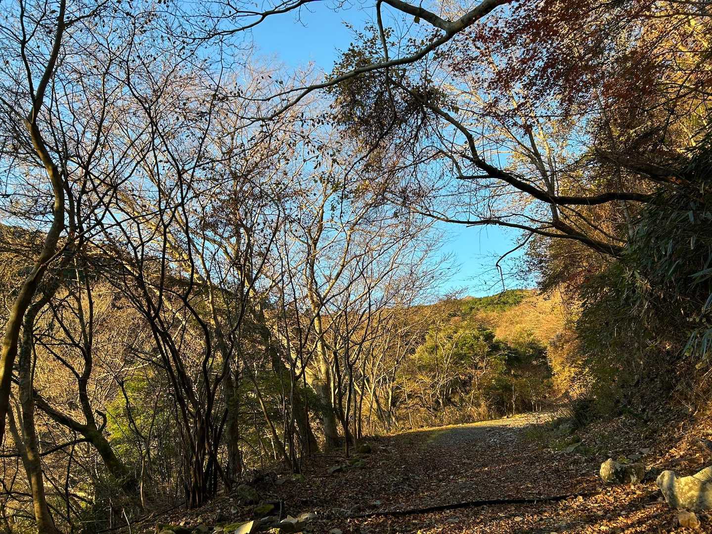 元の道に戻って。
青空が綺麗です(^^)