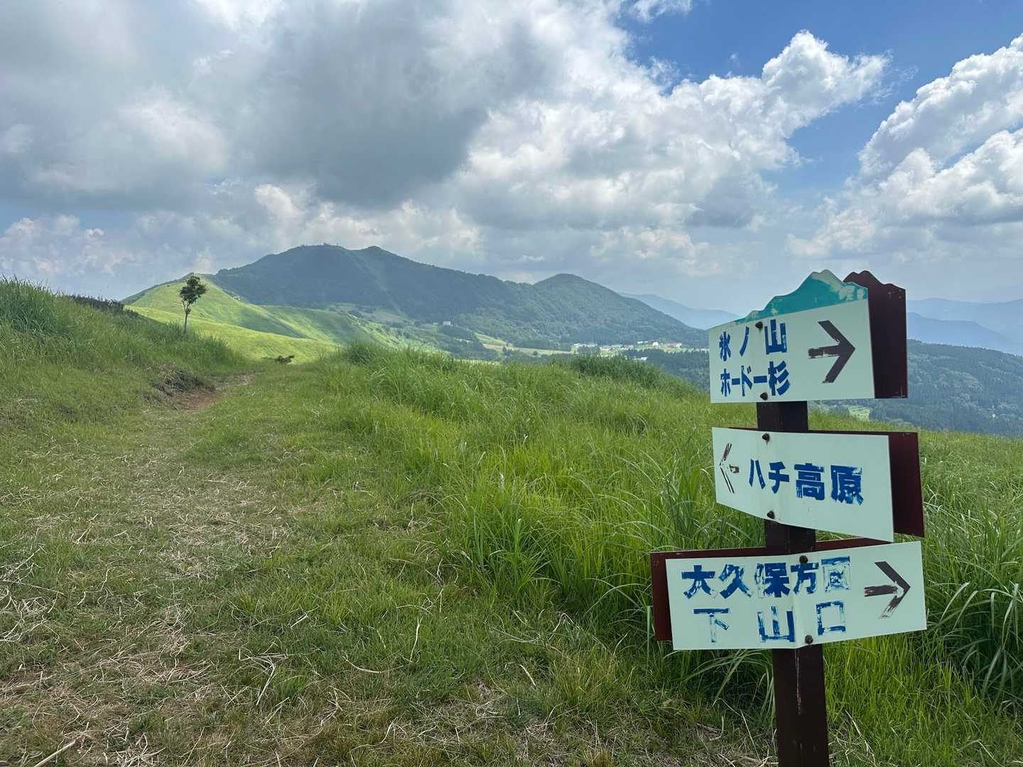 時々、風が吹き抜けても暑くて暑くて汗びっしょり💦
でも青空に雲☁️もあり夏の風景を見ながら歩いて楽しかったです♪