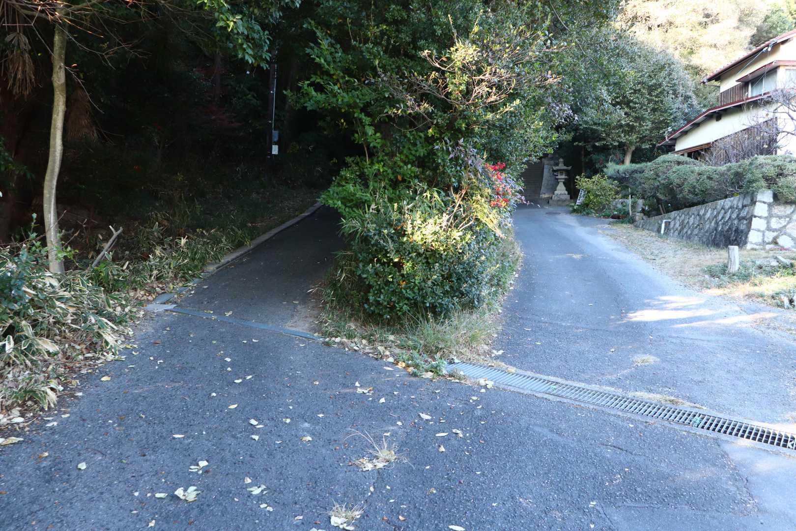 モーリスの所から住宅地を抜けて八幡宮へ戻りました