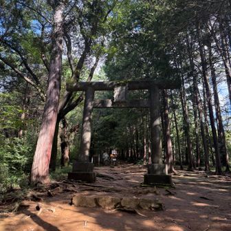 ⛩️