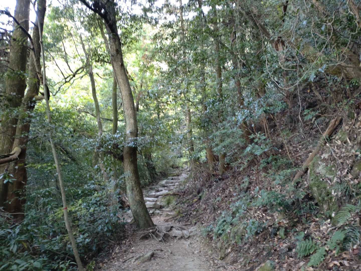 ようやく水場へ。