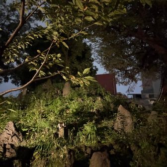 下谷坂本富士

この辺りで、VIVANTの特別展に行くならアメ横センタービルに寄るんじゃなくて、神田明神に寄れば良かったと後悔していた💦

しかも神田明神に神田山が新たにピークとして登録されていたのに💦