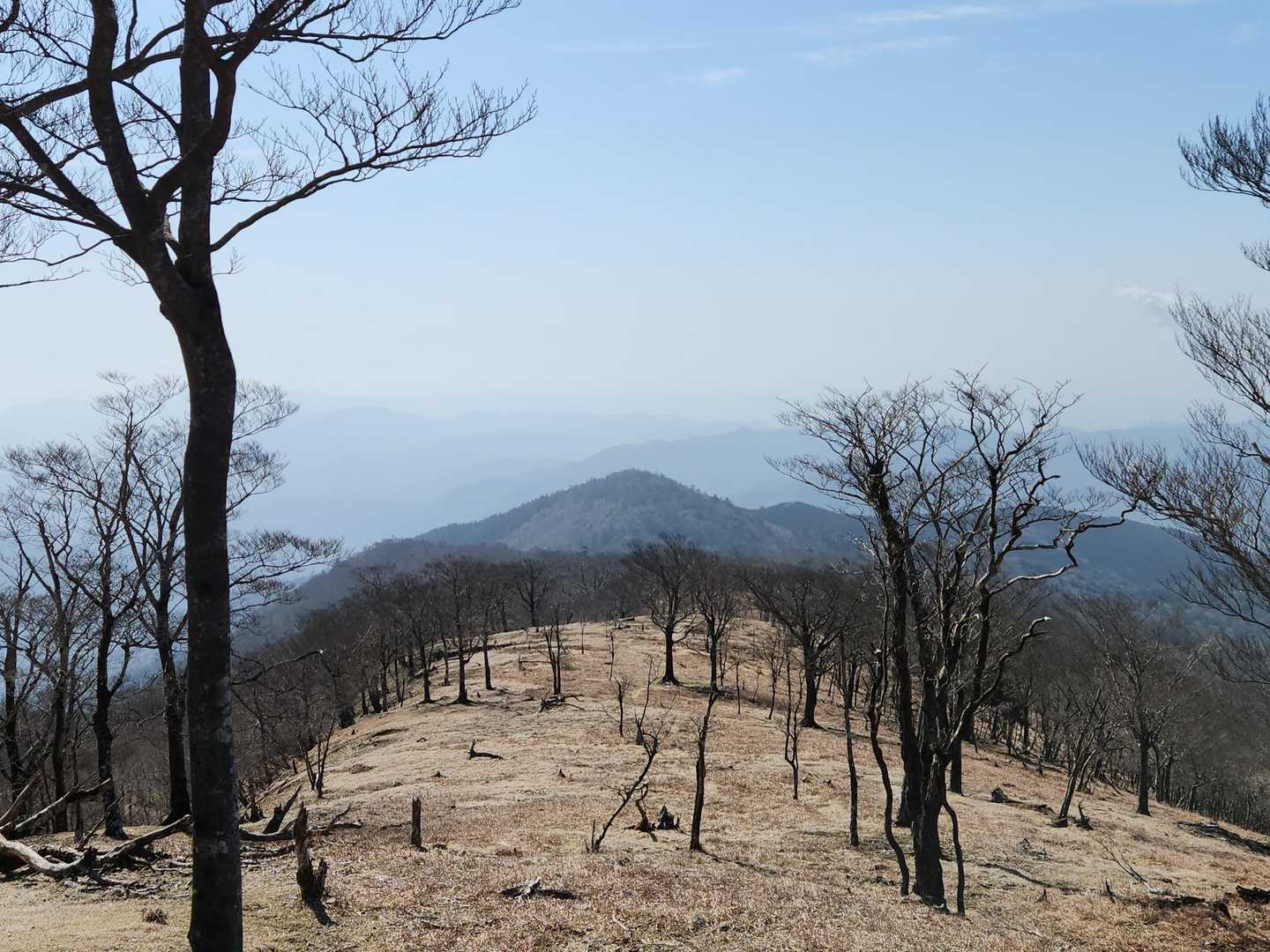 あの奥が国見山か