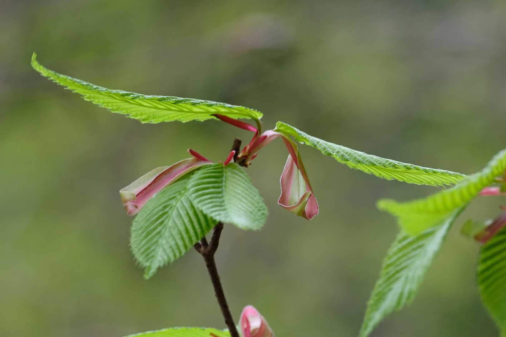 その２