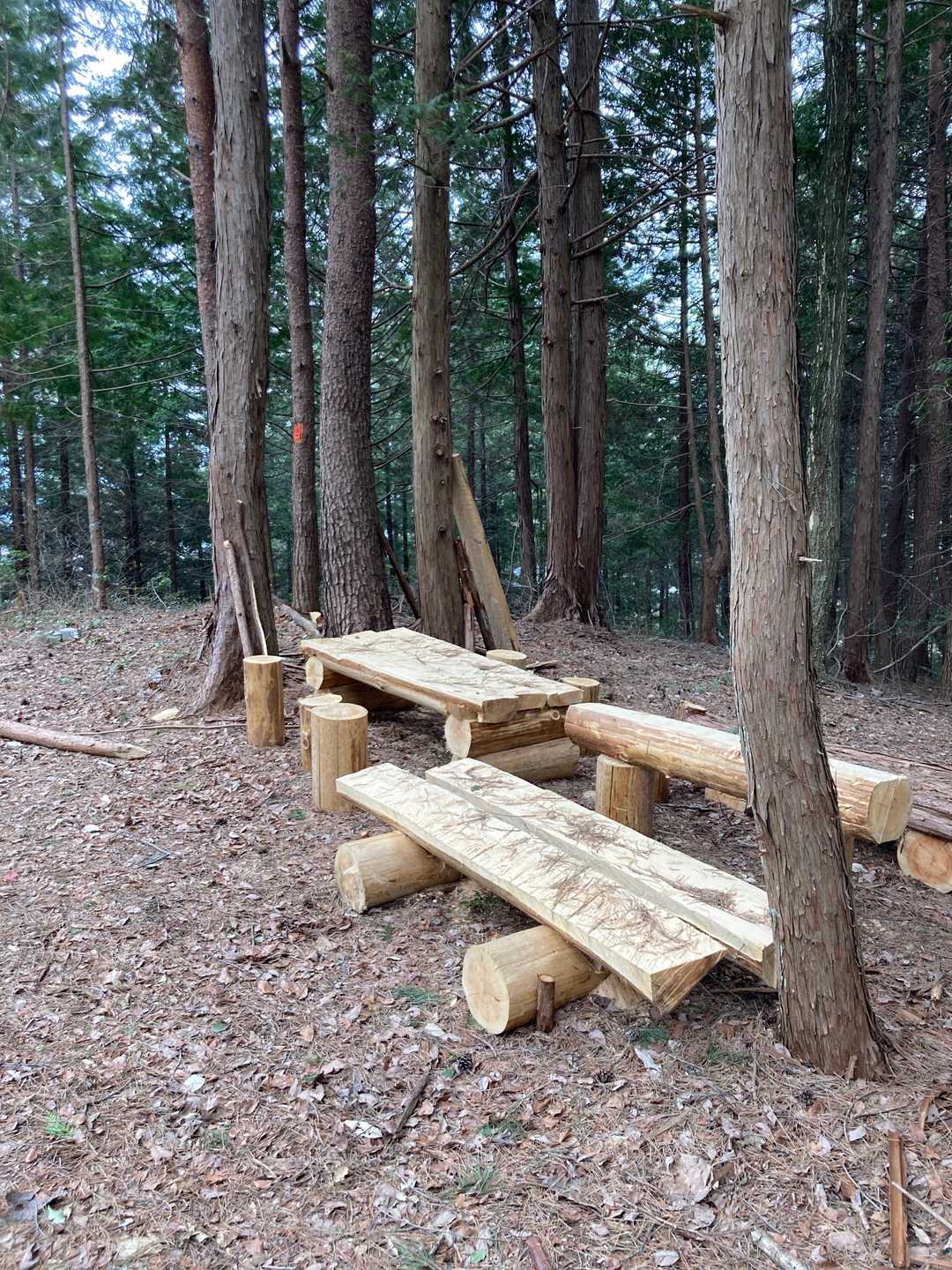山頂に真新しいベンチ
山頂も含めて、阿智公園として再整備されるのかな