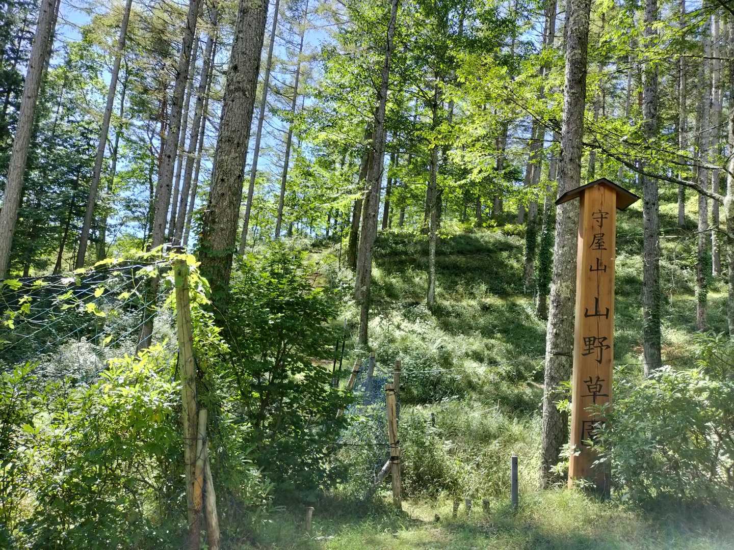 山野草園を発見