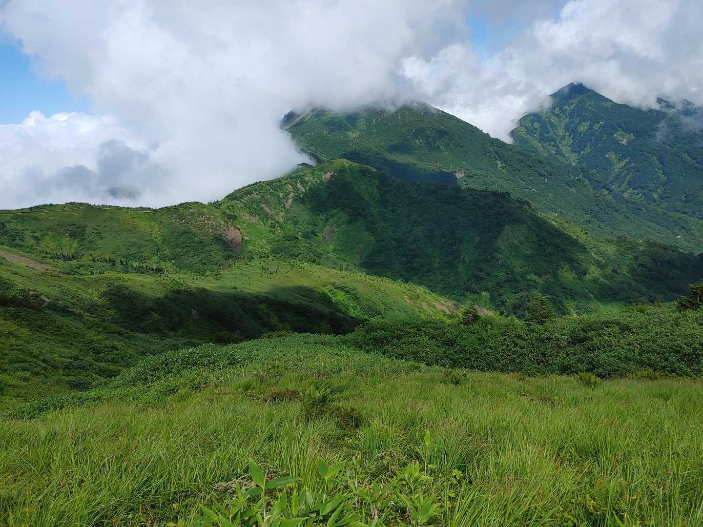 金山山頂裏から