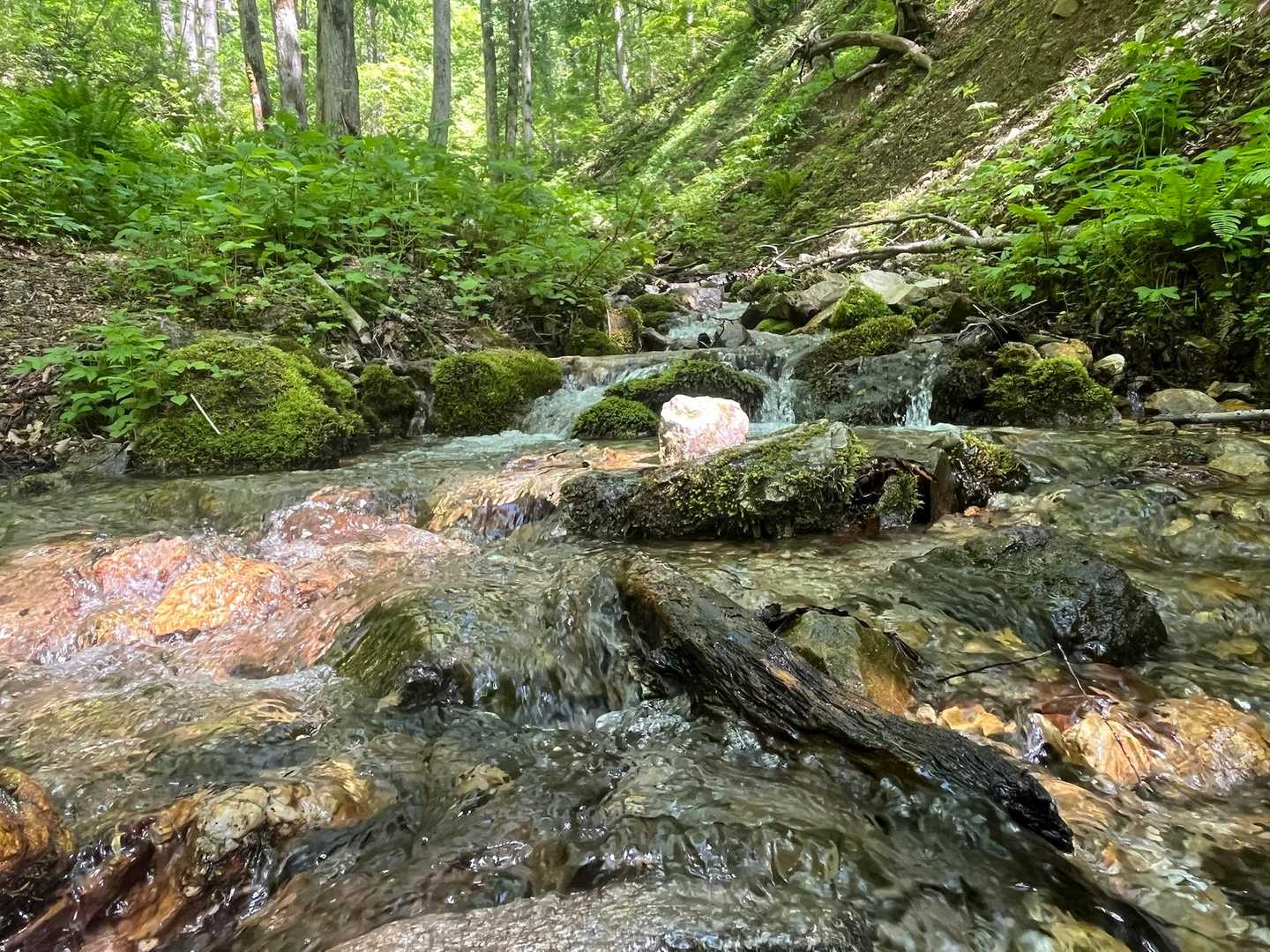 いつでもこのゾーンの沢の流れ落ちる水の音と緑の景色に癒されます🍃✨