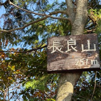 ここから松尾池へ向かう稜線？歩きはとてもいい感じ✨