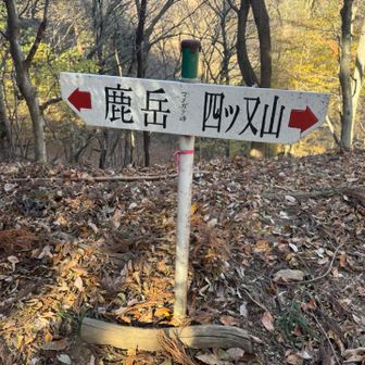 やっと下りマメダカ峠に到着。