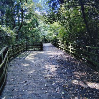 よくわからない展望デッキ、秋には紅葉が綺麗なのだろうか？な（≧∇≦）