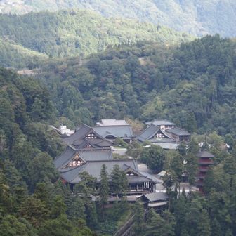後少し！と思ったら、ゴールの久遠寺はまだ遥か先🤣
なかなか歩きごたえあります！