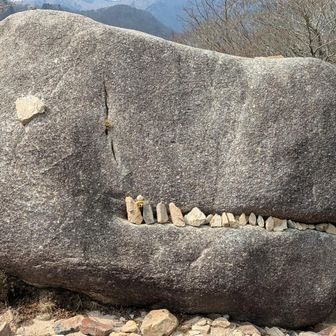 食べられてます