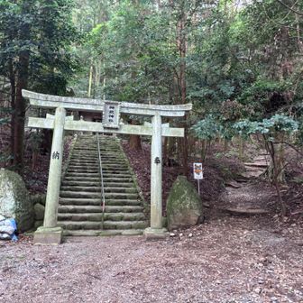 久々の不整地歩く
ペースはかなりゆっくり目で心拍150くらいをキープするようにしました。