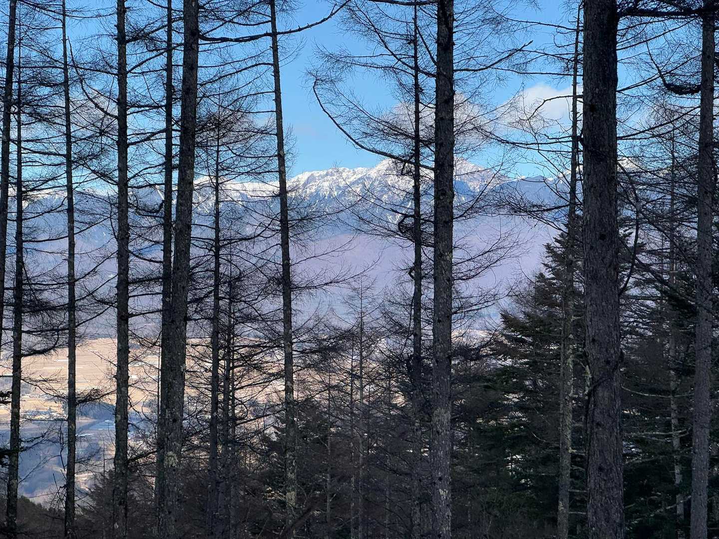 木の隙間から八ヶ岳がキレイに見えてるんですけど😳下山後晴れる…。登山あるあるですね。