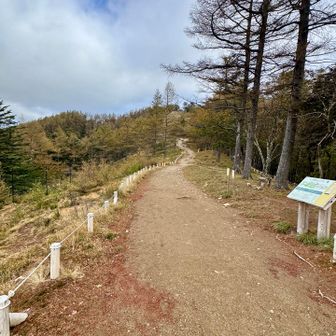 ずっとなだらか