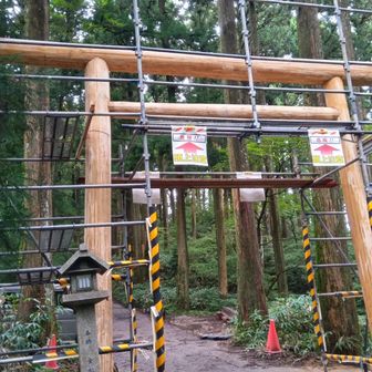 一の鳥居⛩️(今日は重機での作業されてました👷)