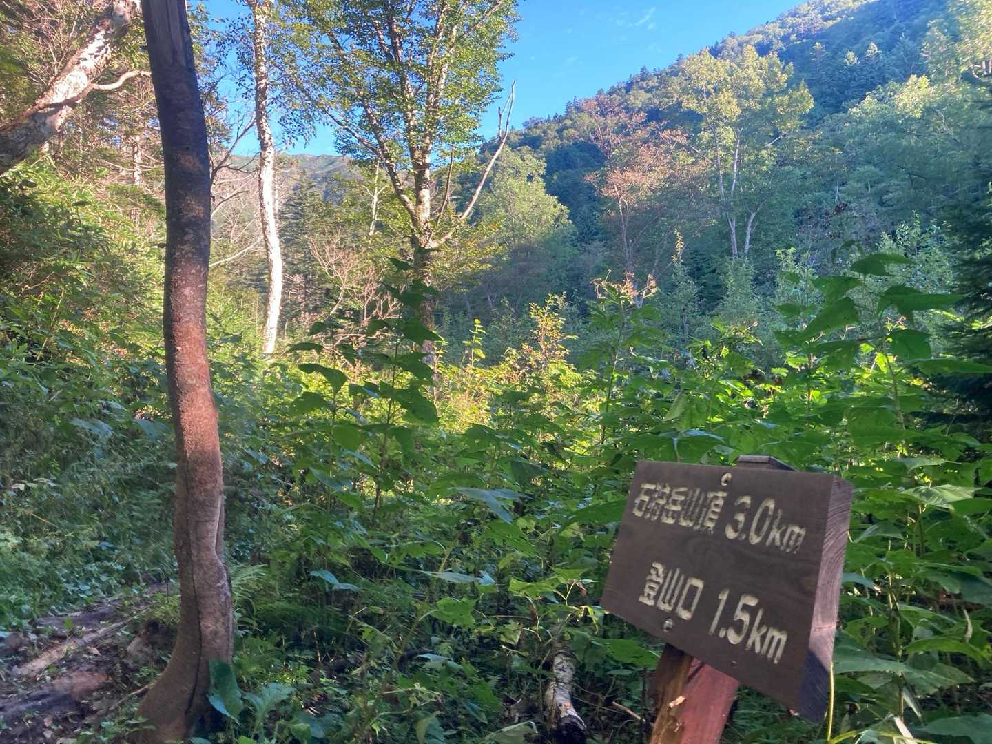 山頂まで3km
ここから急登が始まります

