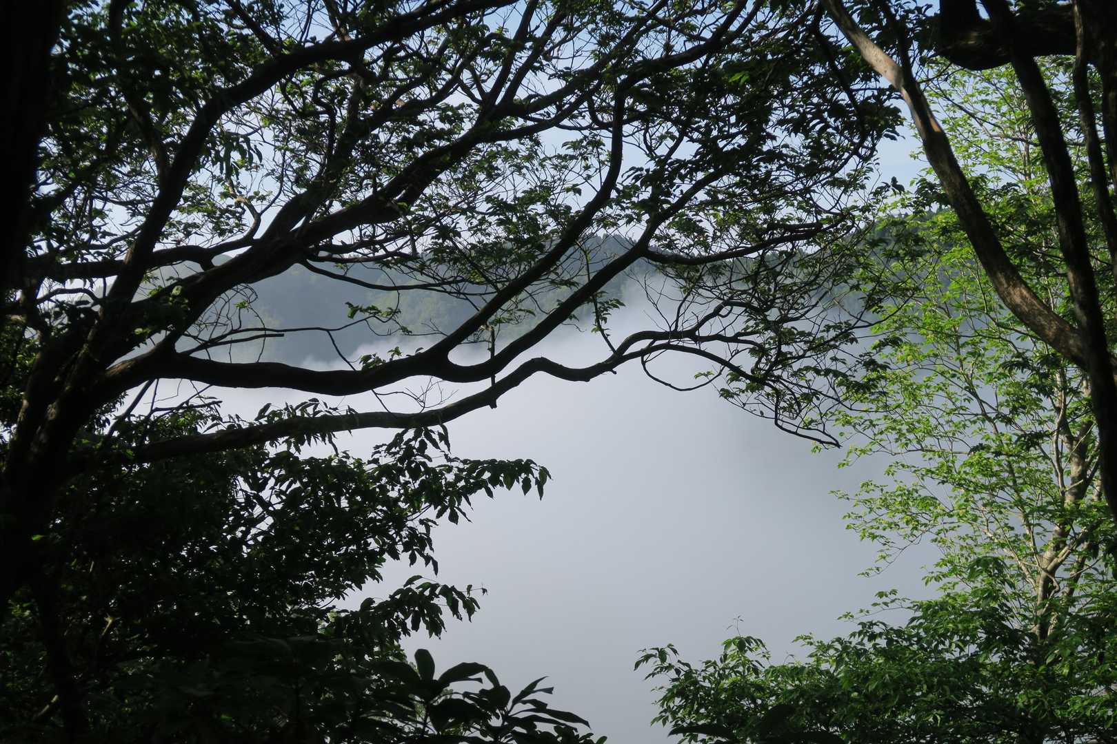 朝霧が晴れてきていい感じ
