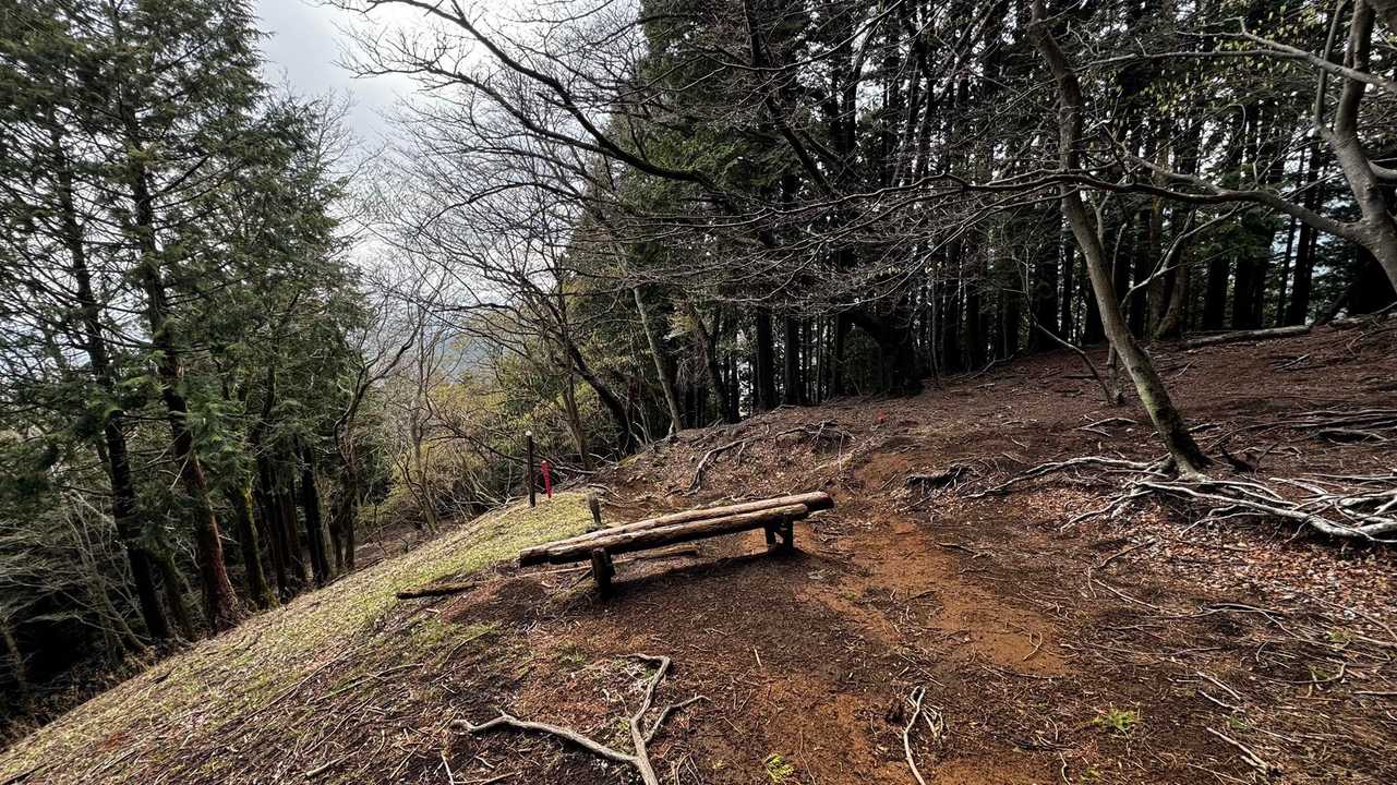 鍋割山・塔ノ岳・烏尾山縦走 の写真 52