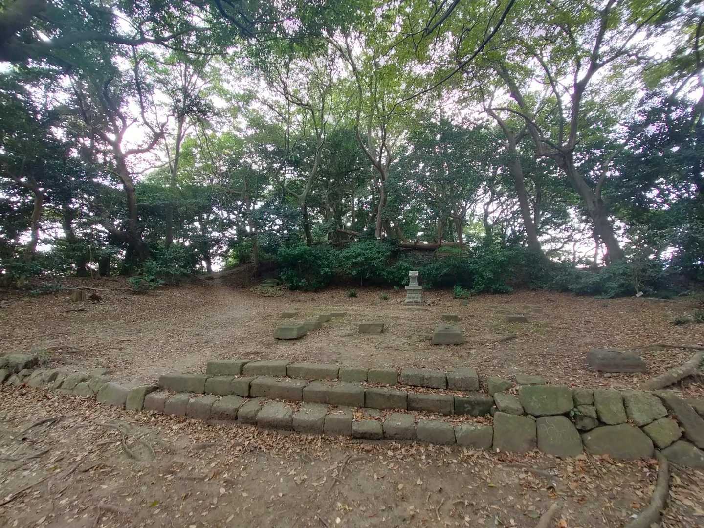 ここが高麗山山頂です⛰