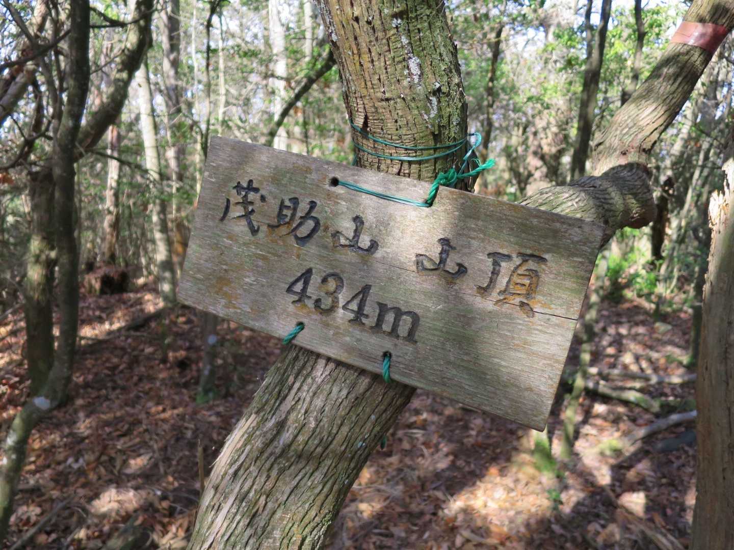 レアな山？かな。