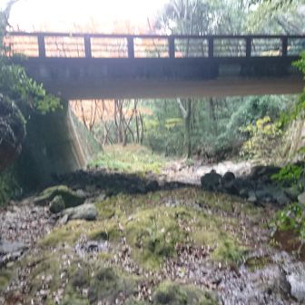 登山道は右上へ歩いて道路に出ますが橋の向こう側🍁へ行ってみよう