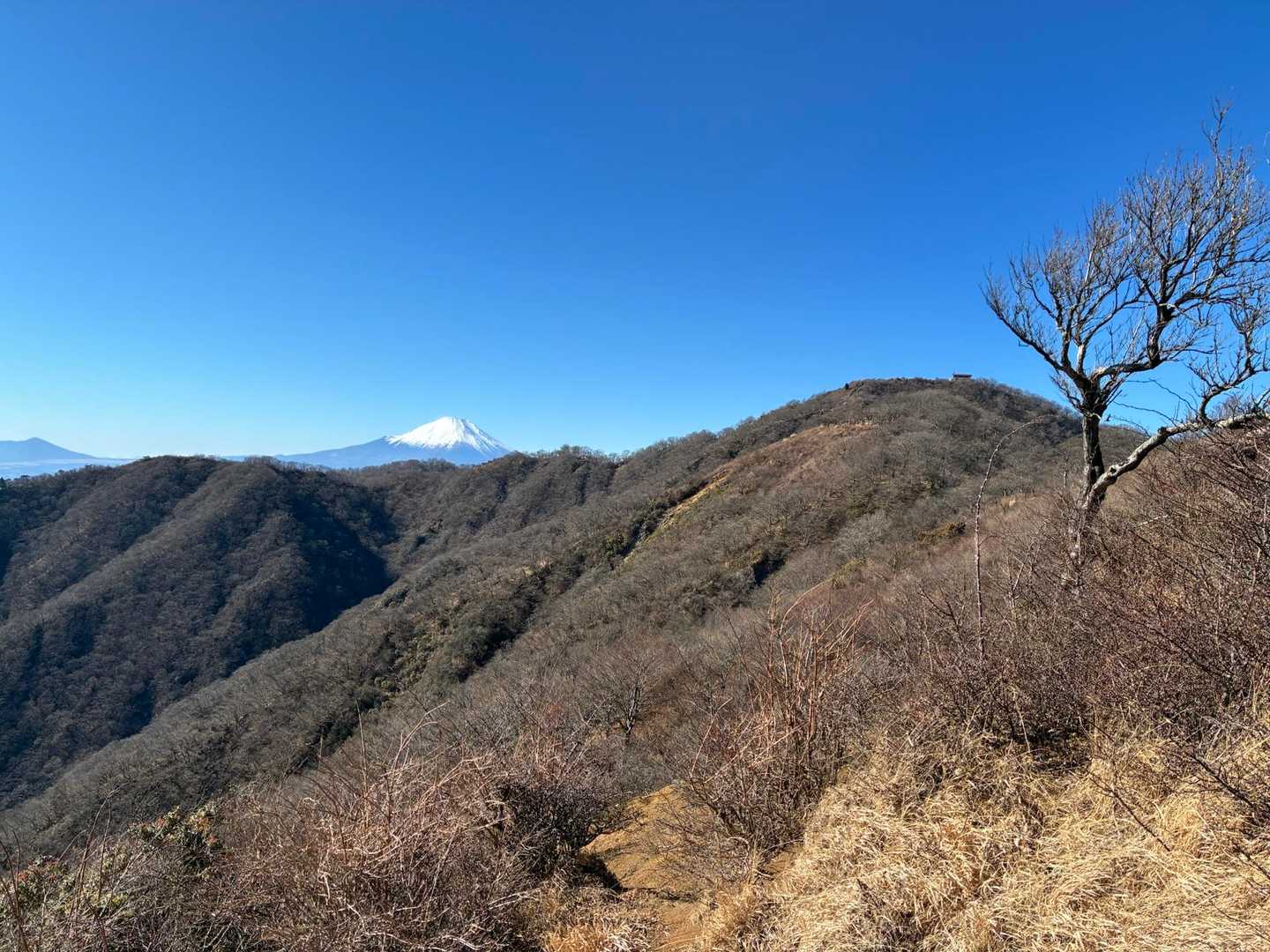 木ノ又小屋の絶景ポイント！次のランドマーク、いよいよやってくる塔ノ岳と富士山。