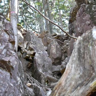 ここを行きましたが、本当は手前左を行くのが正解です