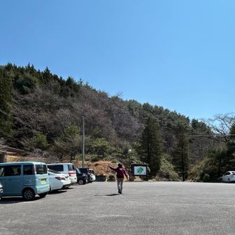 市民の森へ🌳下山です‼️
間違いなく人気の山ですね^ ^
🅿️には21台の駐車がありました⤴️