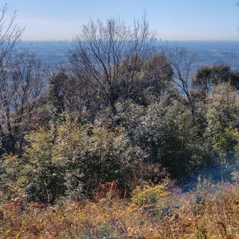 晴れてきて、暖かいです。眺望も良いです