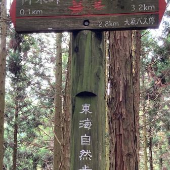 紅葉のモチーフが素敵な道標🍁