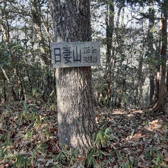 ここからの下りはまた道間違えてましたが　ロープが頂上付近から一気に下まで張られており　超ハイスピードで下ることができました＾＾
お勧めですが　降りてからがやや距離あるので　正規ルートがいいでしょうね

